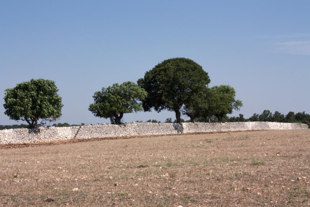 Appartement Trulli Sarmenzanello à Noci Chambre photo