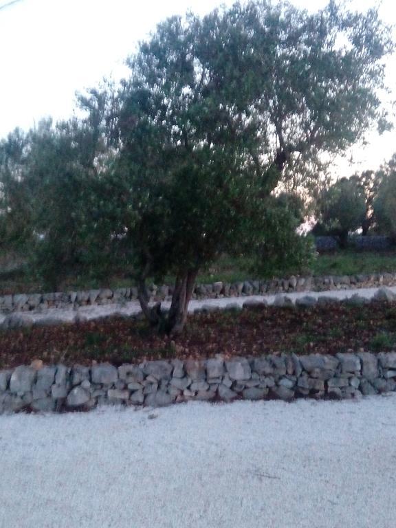Appartement Trulli Sarmenzanello à Noci Extérieur photo