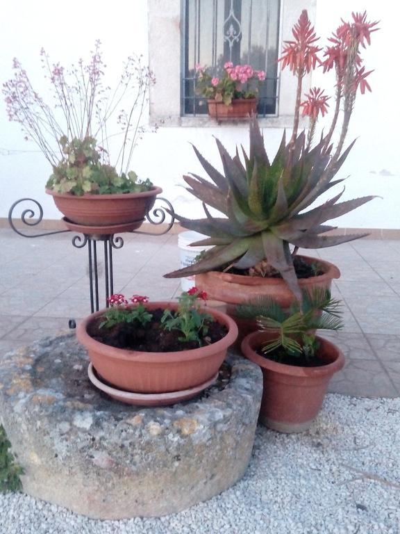 Appartement Trulli Sarmenzanello à Noci Extérieur photo